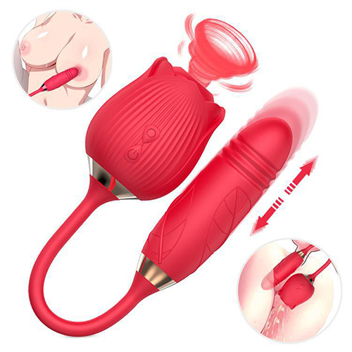 Dewen Rose Toy Vibrator ສໍາລັບແມ່ຍິງ