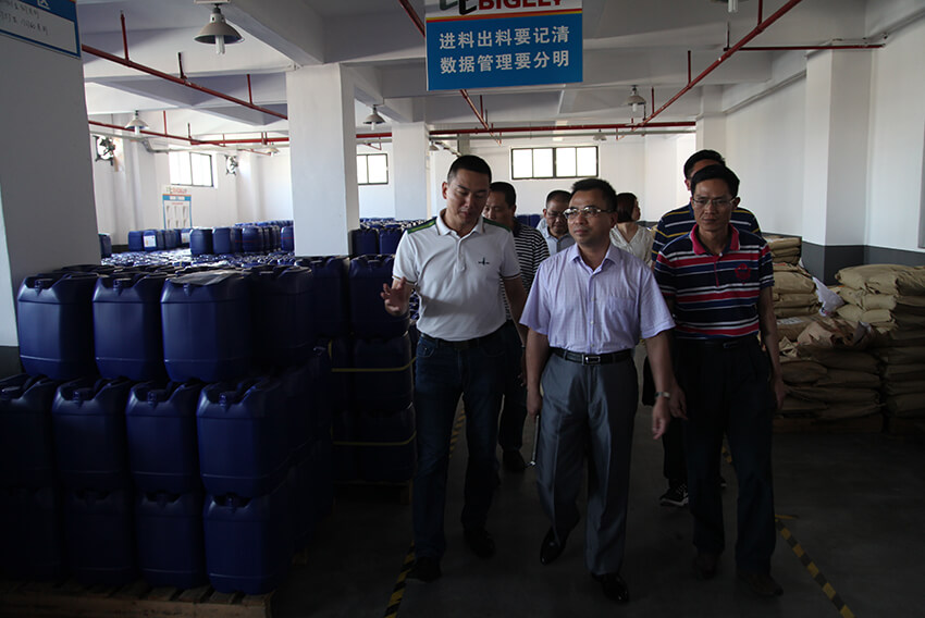 I dirigenti di l'Associazione di Scienze è Tecnulugia di Guangdong anu visitatu Bigely per ispezionà è simpatizà cù i travagliadori di l'innovazione scientifica è tecnologica di prima linea